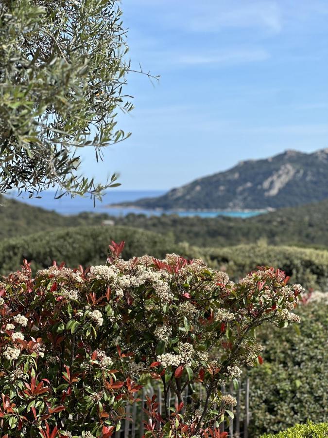 הוילה פורטו-וישיו Tres Belle Bergerie Avec Piscine Chauffee A 1 Km De Santa Giulia מראה חיצוני תמונה